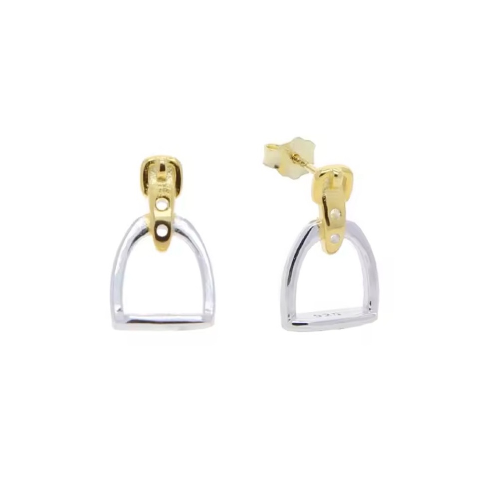 Gold and Silver Earrings